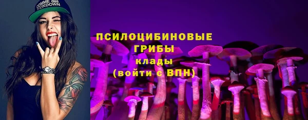 скорость Белокуриха