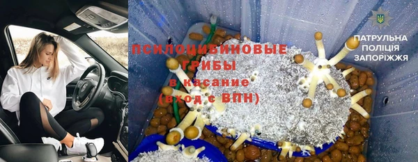 PSILOCYBIN Беломорск