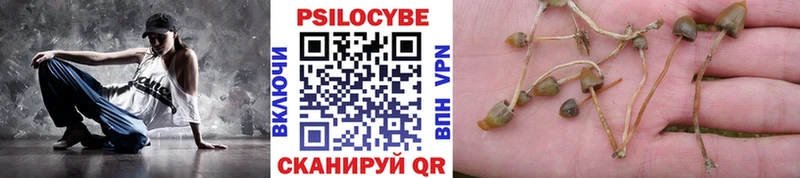 Галлюциногенные грибы Psilocybine cubensis это какой сайт Мглин магазин наркотиков